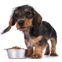 Premium Puppy & Junior - Hebbr