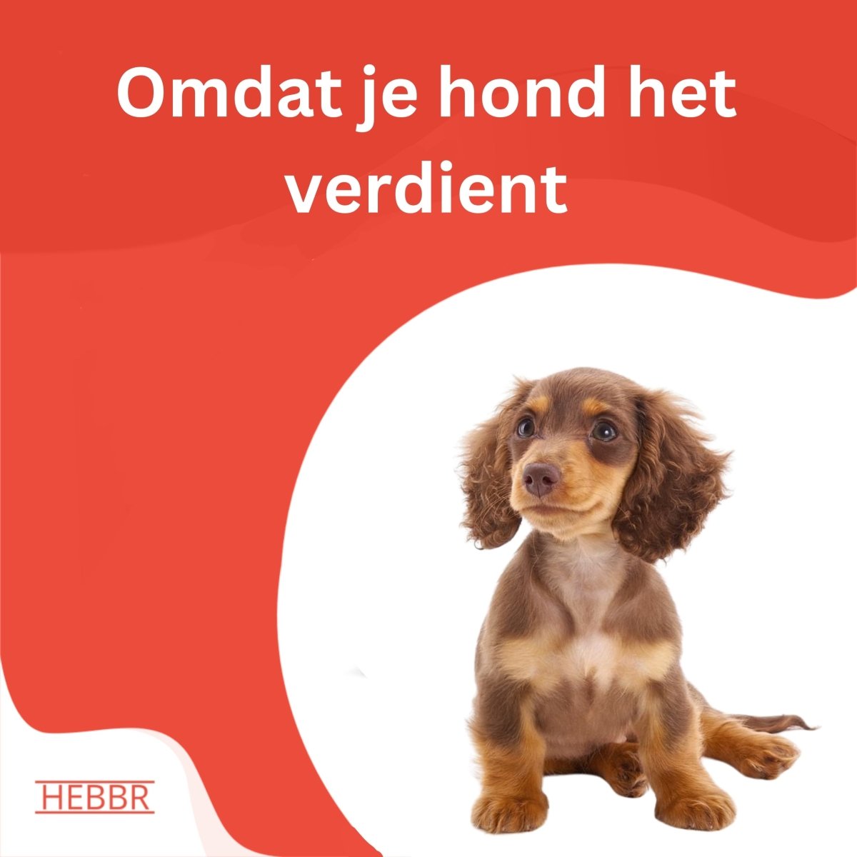 Premium Puppy & Junior - Hebbr