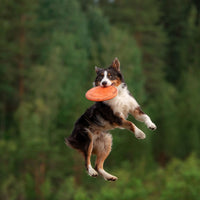 Premium sport & Actief - Hebbr