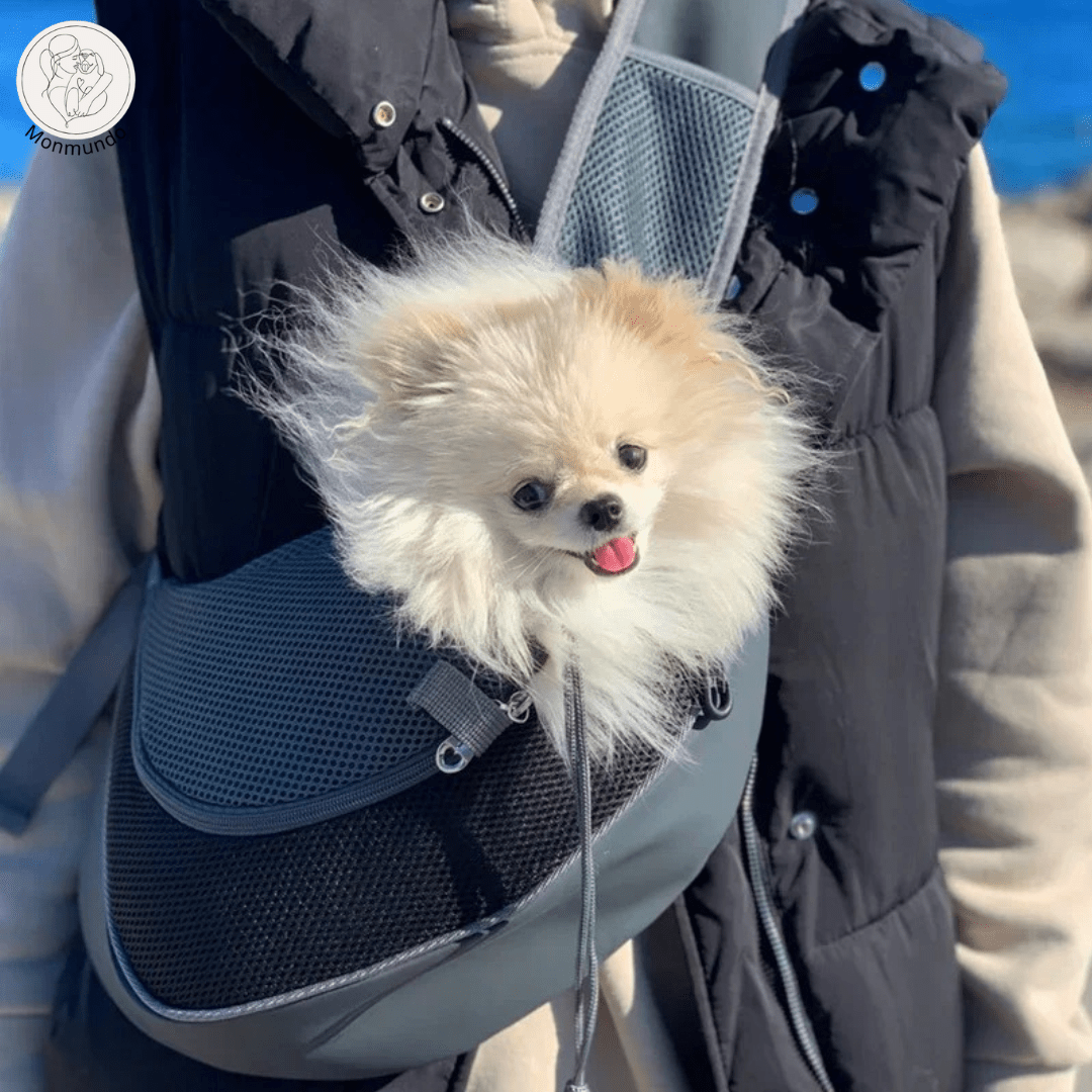 Reiszak voor Katten en Kleine Honden – Veilig, Comfortabel en Stijlvol - Hebbr