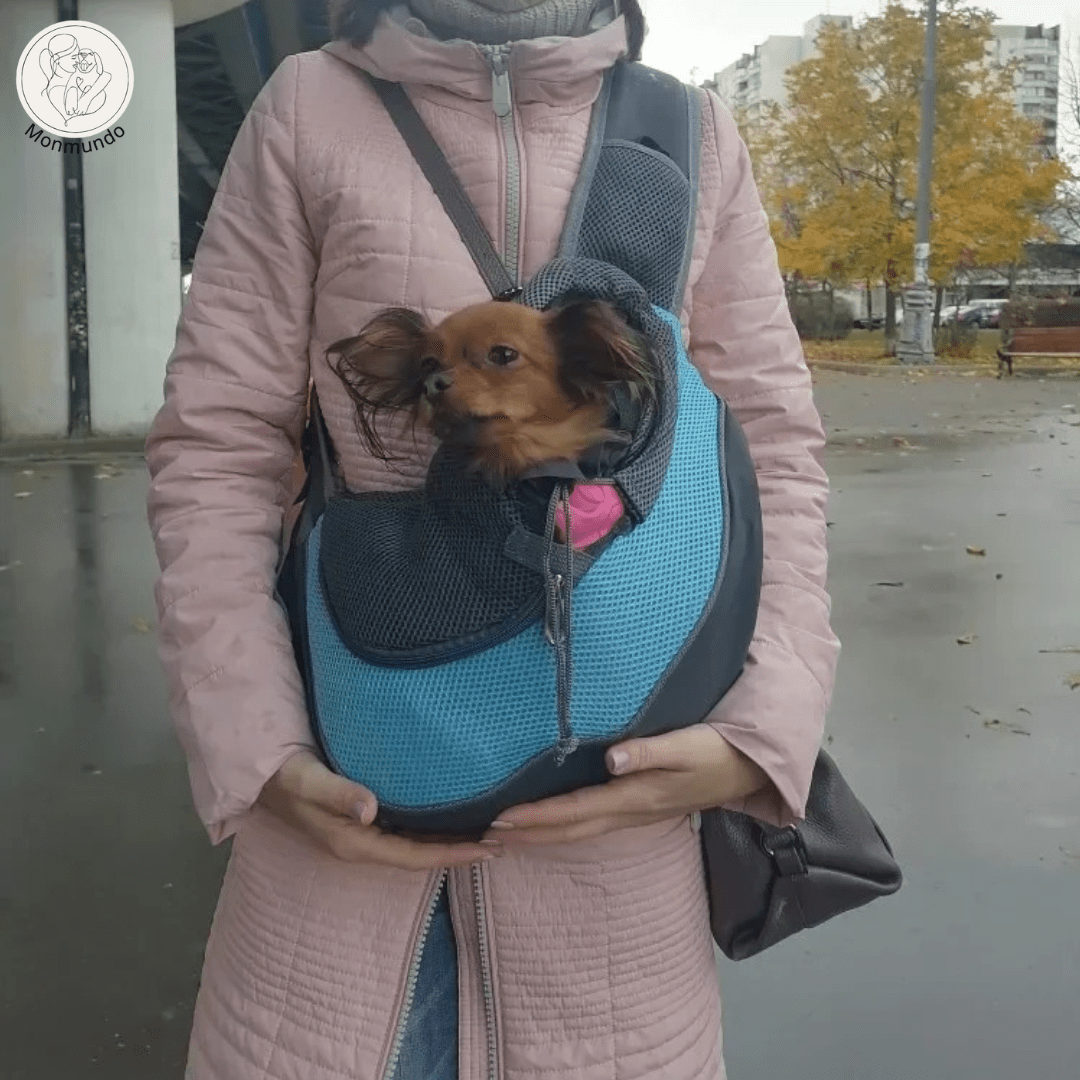 Reiszak voor Katten en Kleine Honden – Veilig, Comfortabel en Stijlvol - Hebbr