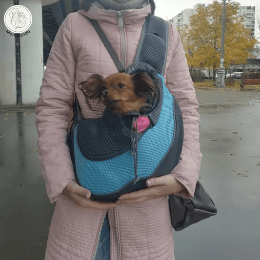 Reiszak voor Katten en Kleine Honden – Veilig, Comfortabel en Stijlvol - Hebbr