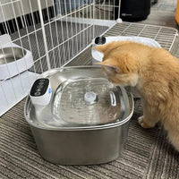 RVS Katten Drinkfontein met 3,2L Capaciteit en Meervoudig Filtratiesysteem - Hebbr