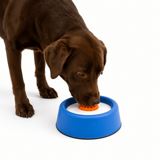Slow Feeder Hondenkom | Antislip, Interactieve Rollende Bal - Hebbr