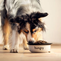 Super premium excellent actief en sport - Hebbr