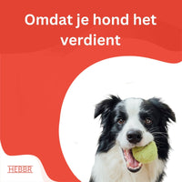 Super premium excellent energie en sport - Hebbr