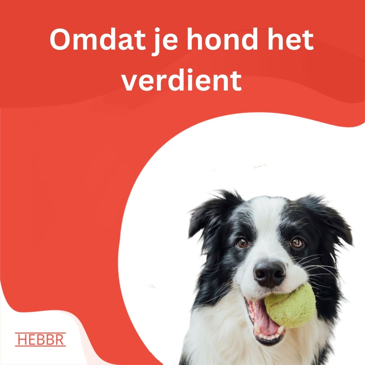 Super premium excellent energie en sport - Hebbr