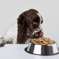 Super Premium Excellent Graanvrij kip & aardappel – geperst - Adult - Hebbr