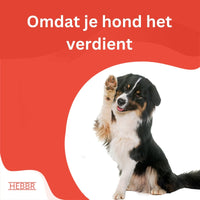 Super Premium Excellent Graanvrij kip & aardappel – geperst - Adult - Hebbr