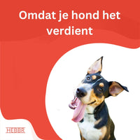 Super Premium Excellent Graanvrij lam & aardappel – geperst - Adult - Hebbr