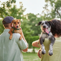 Super Premium Excellent Graanvrij Salmon & aardappel – geperst - Adult - Hebbr