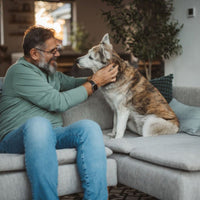 Super Premium Excellent lam & rijst Super Premium – geperst - Adult - Hebbr