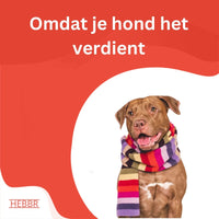 Super Premium Excellent lam & rijst Super Premium – geperst - Adult - Hebbr