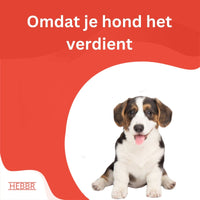Super premium excellent puppy junior graanvrij kip & aardappel - Hebbr
