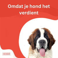 Super Premium Excellent Salmon & rijst Super Premium – geperst - Adult - Hebbr