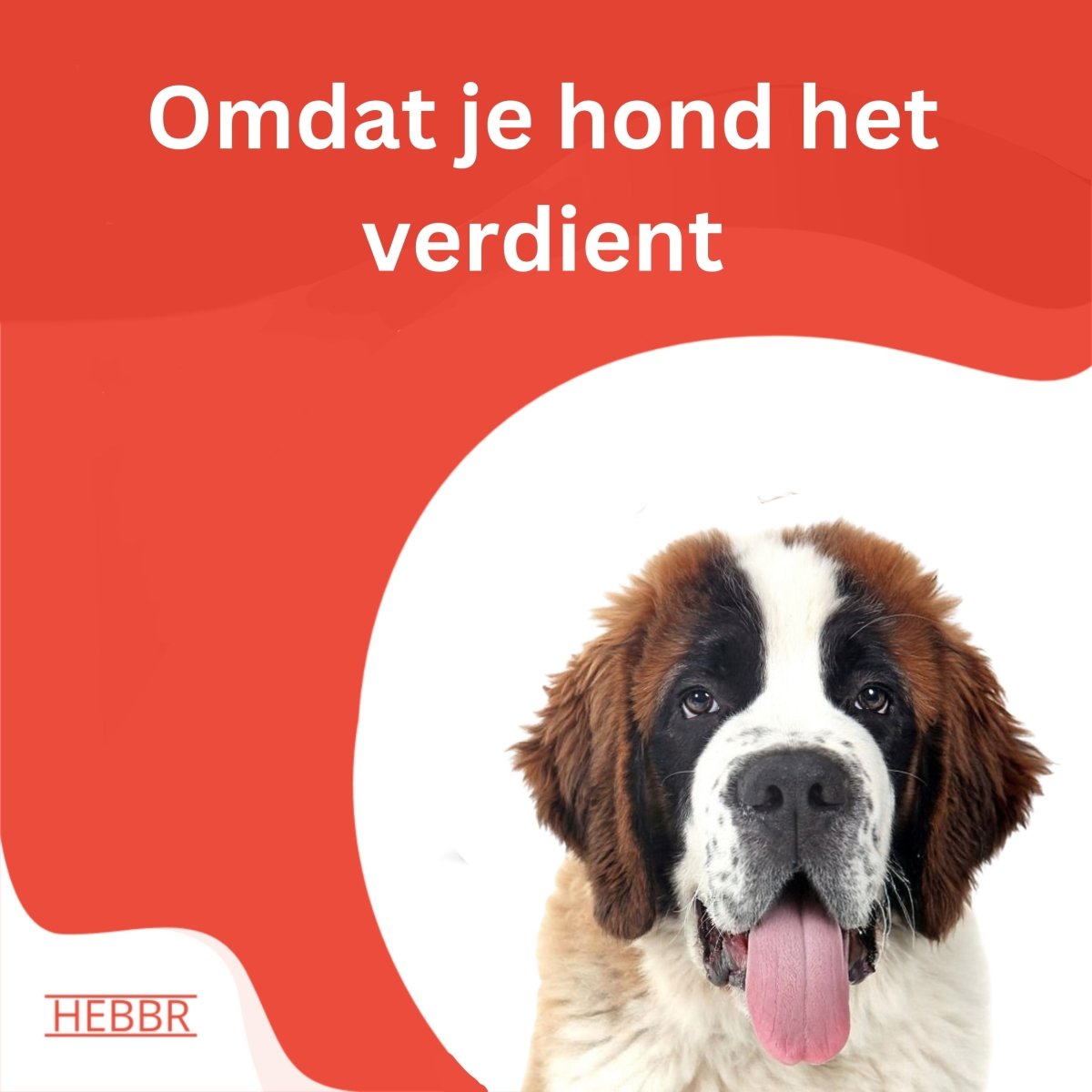 Super Premium Excellent Salmon & rijst Super Premium – geperst - Adult - Hebbr