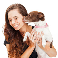 Super Premium Excellent Salmon & rijst Super Premium – geperst - Adult - Hebbr