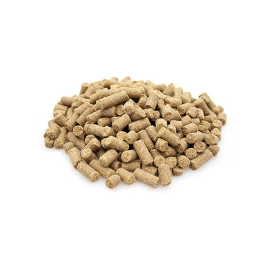 Super Premium Excellent Salmon & rijst Super Premium – geperst - Adult - Hebbr