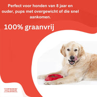Super Premium Graanvrij kip & aardappel - Hebbr