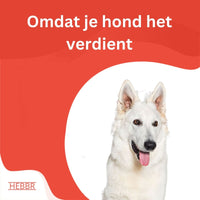 Super Premium Graanvrij lam & aardappel - Adult - Hebbr