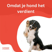 Super Premium Graanvrij Salmon & aardappel - Adult - Hebbr