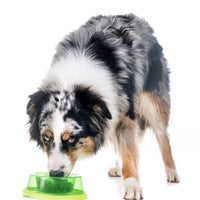 Super Premium Graanvrij Salmon & aardappel - Adult - Hebbr