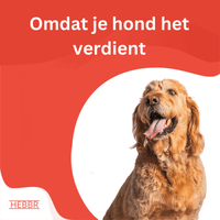 Super Premium kip & rijst - Adult - Hebbr