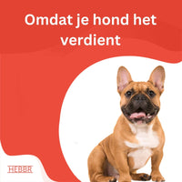 Super Premium kip & rijst – Adult Mini - Hebbr