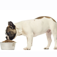 Super Premium kip & rijst – Adult Mini - Hebbr