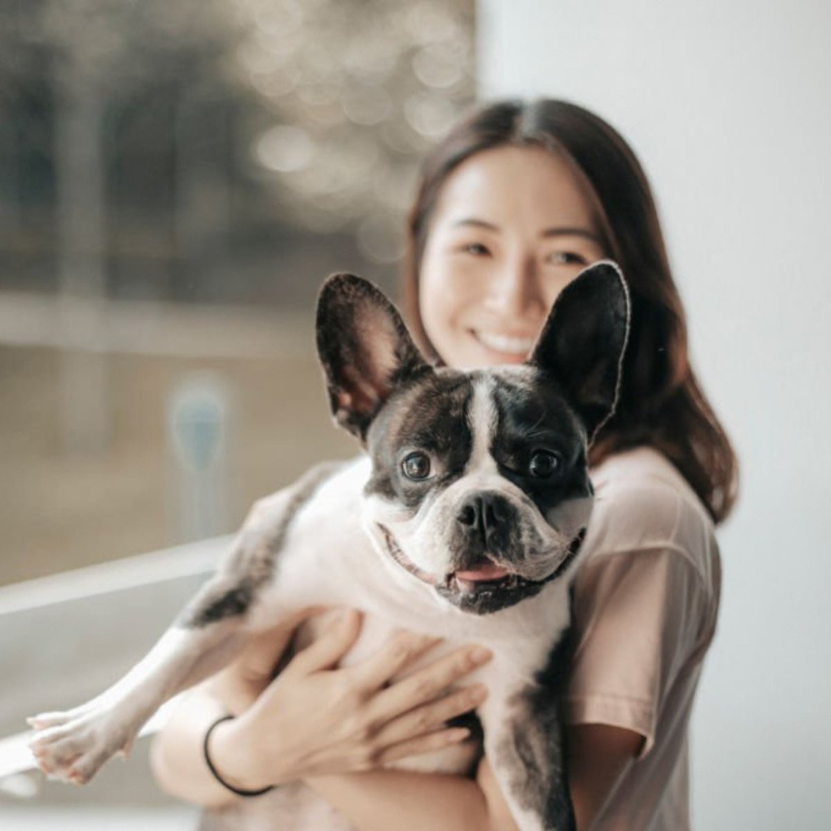 Super Premium kip & rijst – Adult Mini - Hebbr