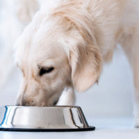 Super Premium lam & rijst - Adult - Hebbr