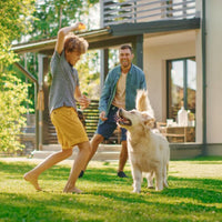 Super Premium lam & rijst - Adult - Hebbr