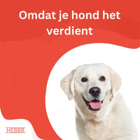 Super Premium lam & rijst - Adult - Hebbr