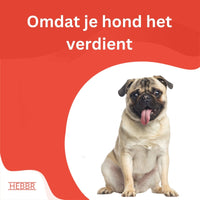 Super Premium lam & rijst - Adult Mini - Hebbr