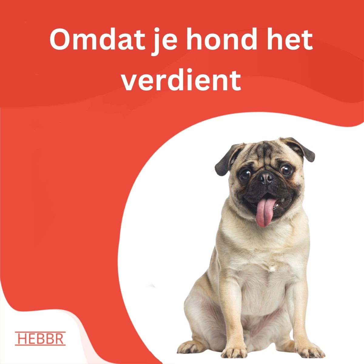 Super Premium lam & rijst - Adult Mini - Hebbr