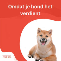 Super Premium puppy en Junior - Hebbr