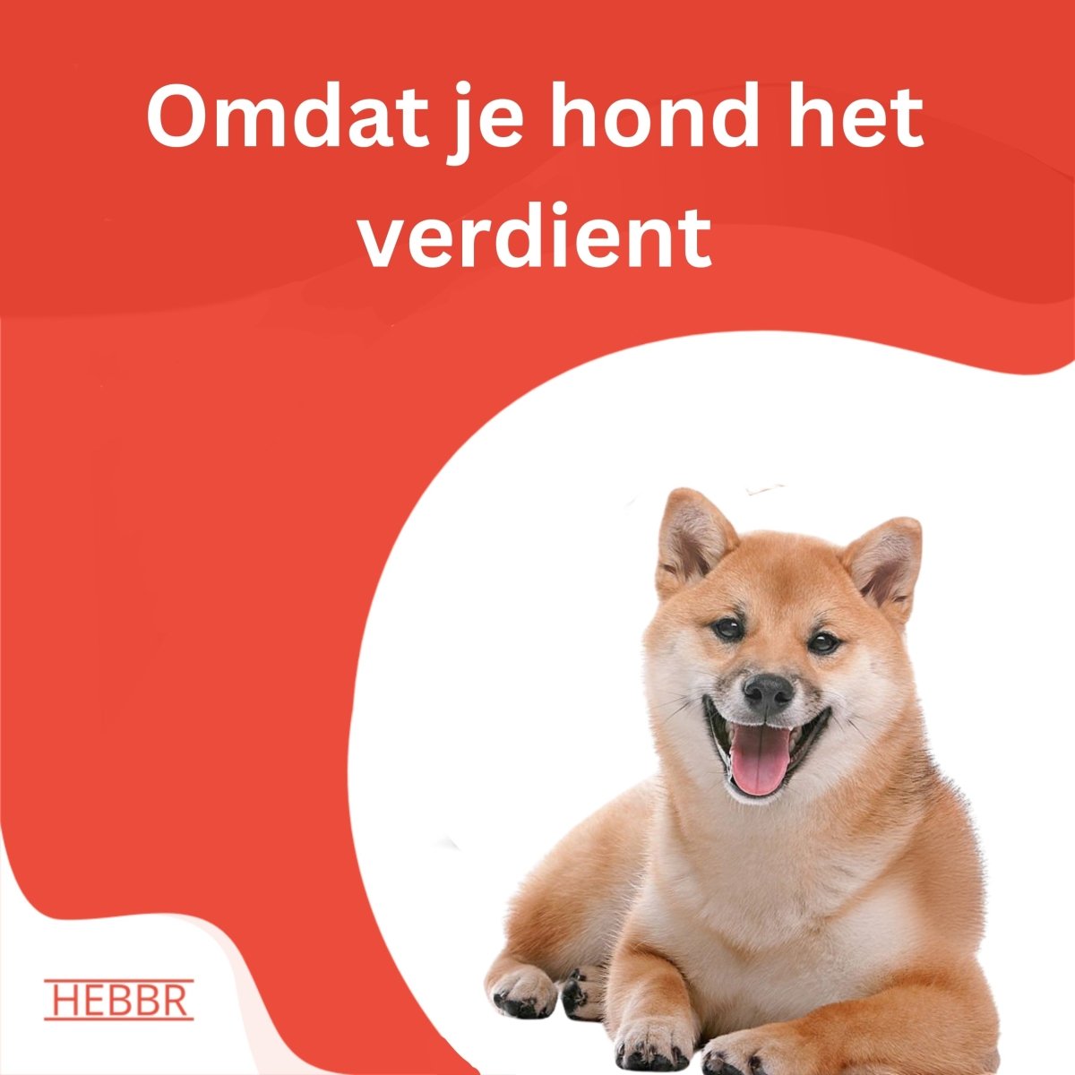 Super Premium puppy en Junior - Hebbr