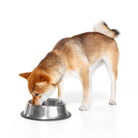 Super Premium puppy en Junior - Hebbr