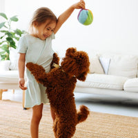 Super premium puppy excellent geperst - Hebbr