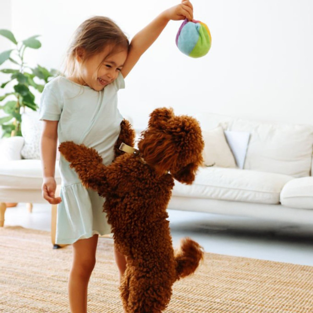 Super premium puppy excellent geperst - Hebbr