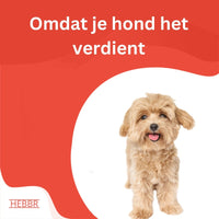 Super premium puppy excellent geperst - Hebbr