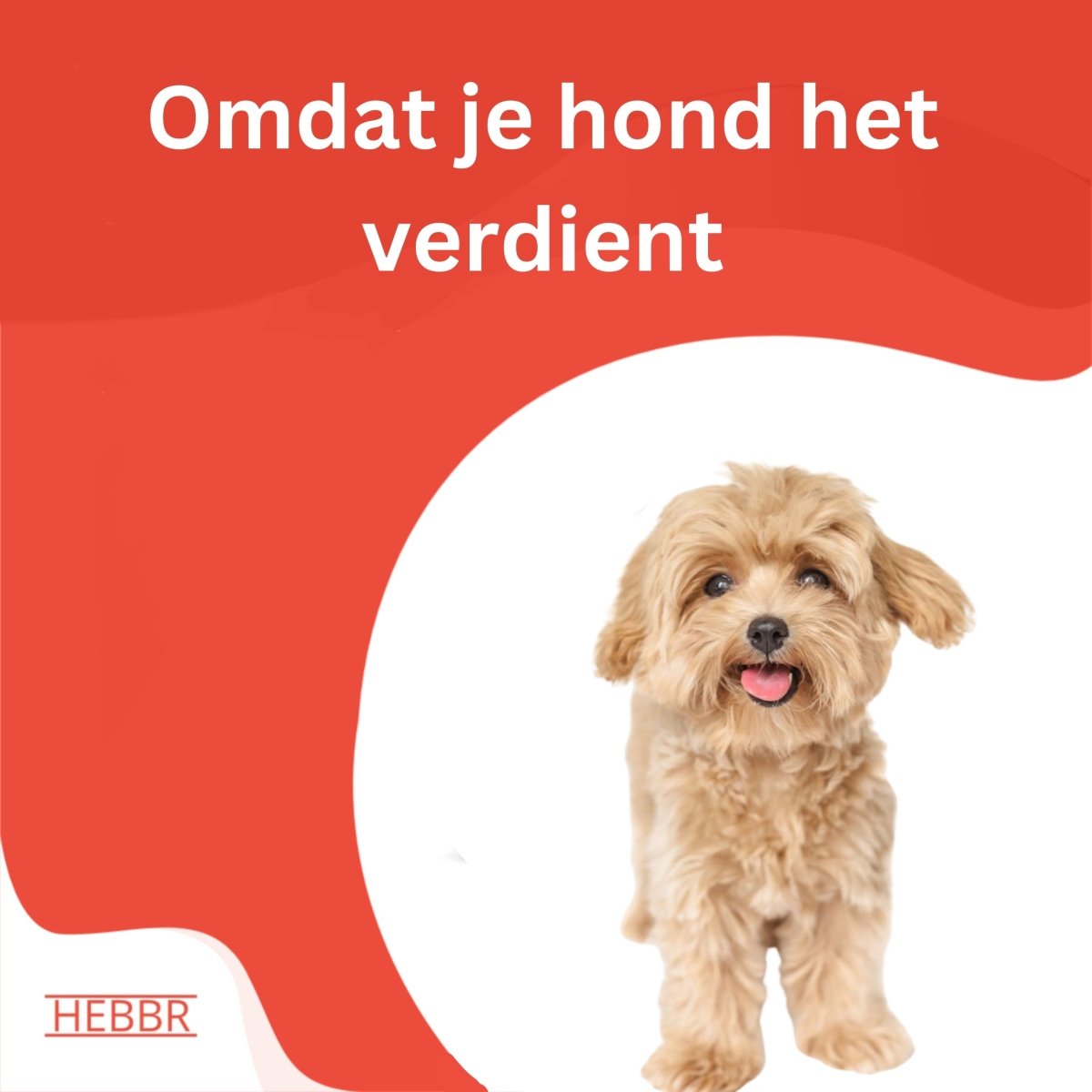 Super premium puppy excellent geperst - Hebbr