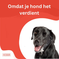 Super Premium Salmon & rijst - Adult - Hebbr