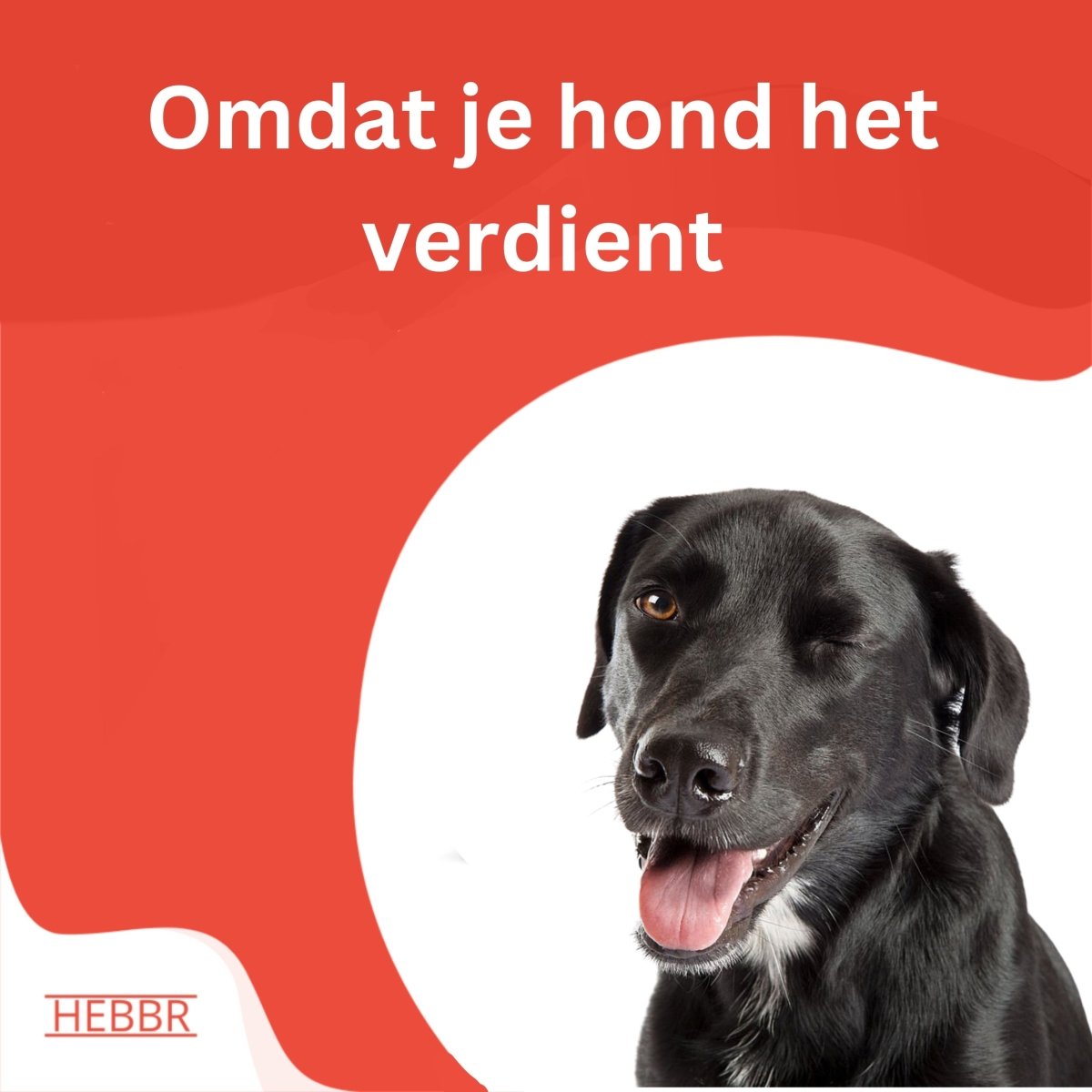 Super Premium Salmon & rijst - Adult - Hebbr