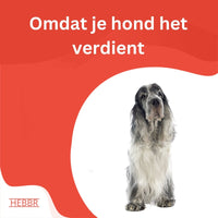 Super Premium Senior dieet Graanvrij kip & aardappel - Hebbr