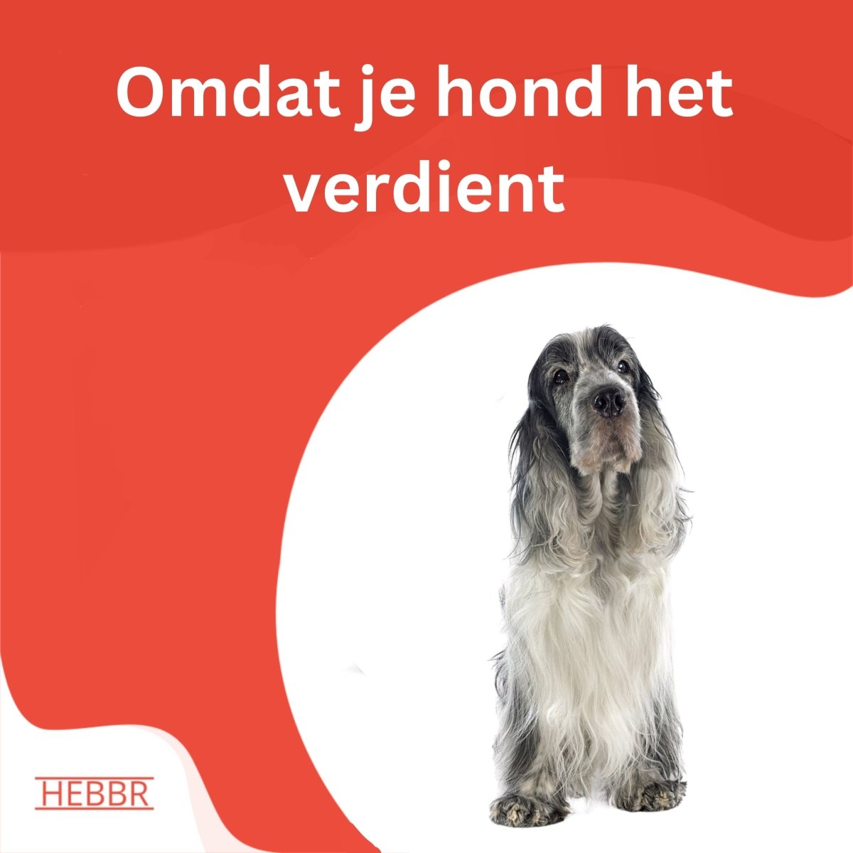 Super Premium Senior dieet Graanvrij kip & aardappel - Hebbr