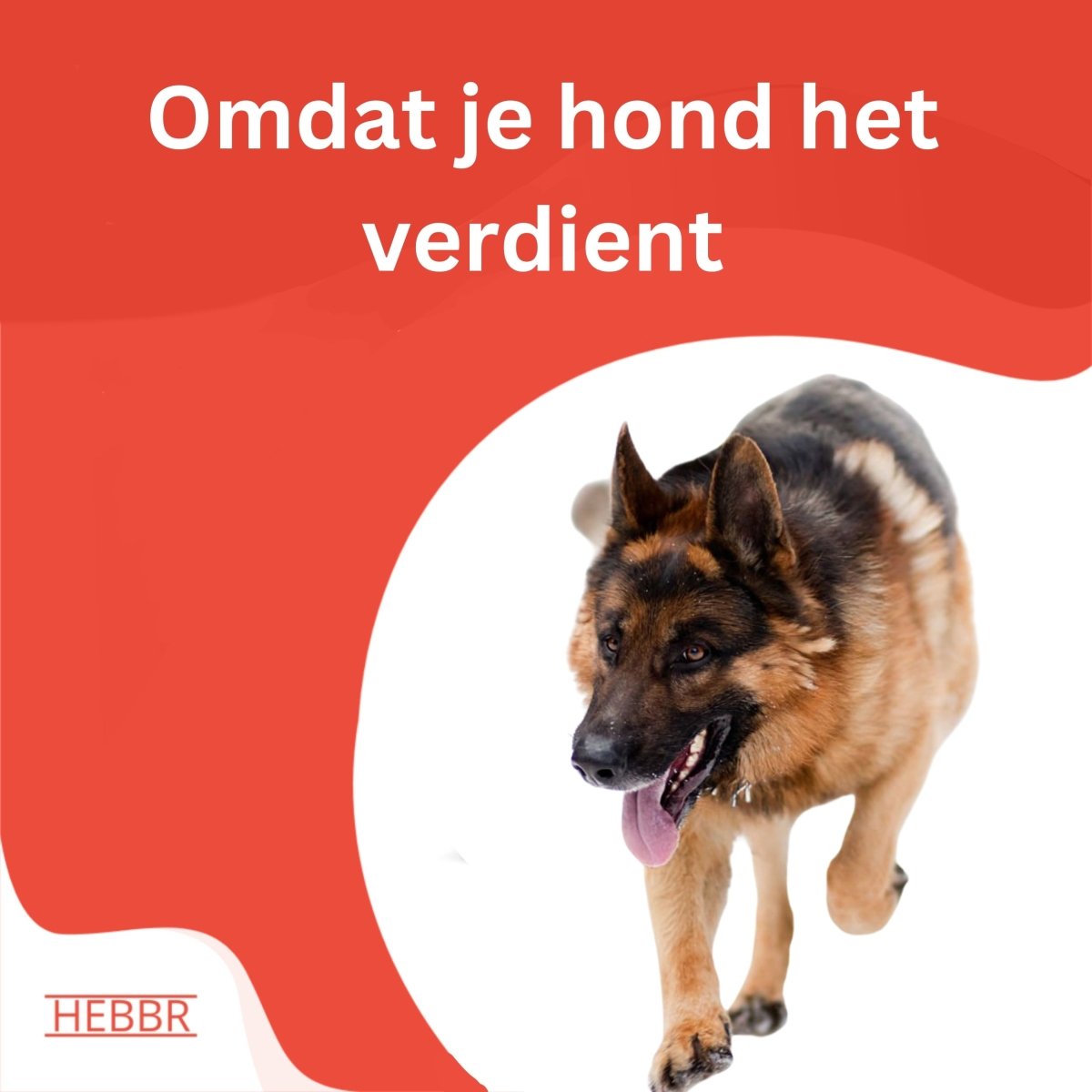 Super Premium sport & Actief - Hebbr