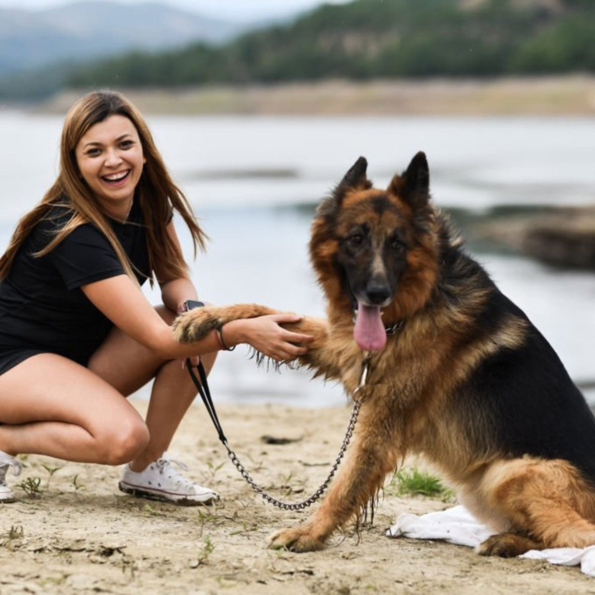 Super Premium sport & Actief - Hebbr