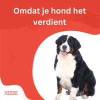 Super Premium Venison & aardappel - Adult - Hebbr