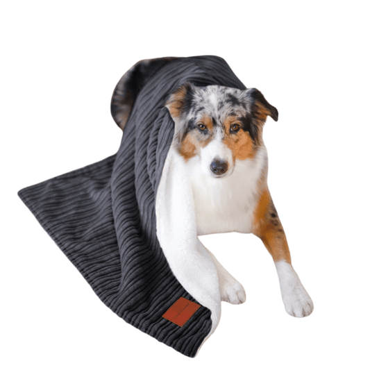 Superzachte Hondendeken voor Auto en Bank - Wasbaar, Stressverlagend Deken - Hebbr